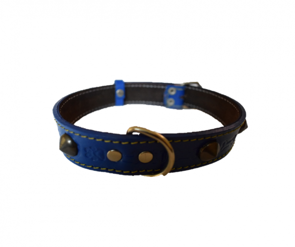 Collar de Cuero N° 05