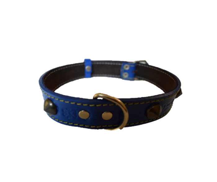 8 Collar de Cuero N° 05