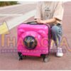 Maleta con ruedas Para Mascota