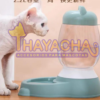 Dispensador de agua cara de gato