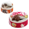Cama Sopa Ramen