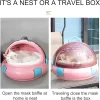 CAPSULA TRANSPORTADORA GATO
