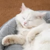 Cama 2 en 1 para mascotas