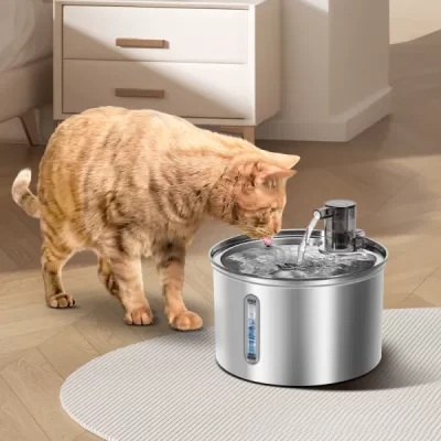 Fuente de Agua de Acero inoxidable: La Clave para un Gato Sano y Feliz