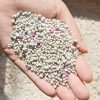 Arena para Gatos Aroma Lavanda x 25kg