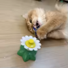 Juguete Interactivo para Gatos Flor con Mariposa Juguete Interactivo para Gatos Flor con Mariposa