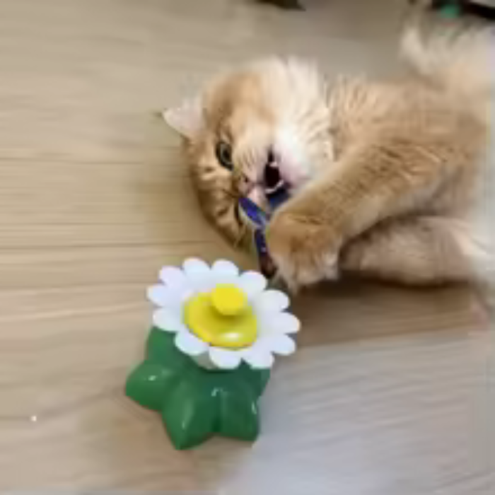 Juguete Interactivo para Gatos Flor con Mariposa Juguete Interactivo para Gatos Flor con Mariposa