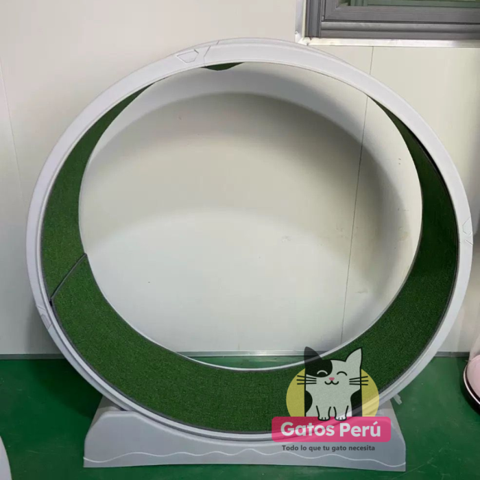 rueda para gatos celsete peru Rueda para Gatos Celeste y Gris