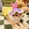 Gorro de conejo tejido para gato