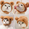 Gorro de Oso para Gato Tierno