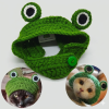 Gorro de rana para gato